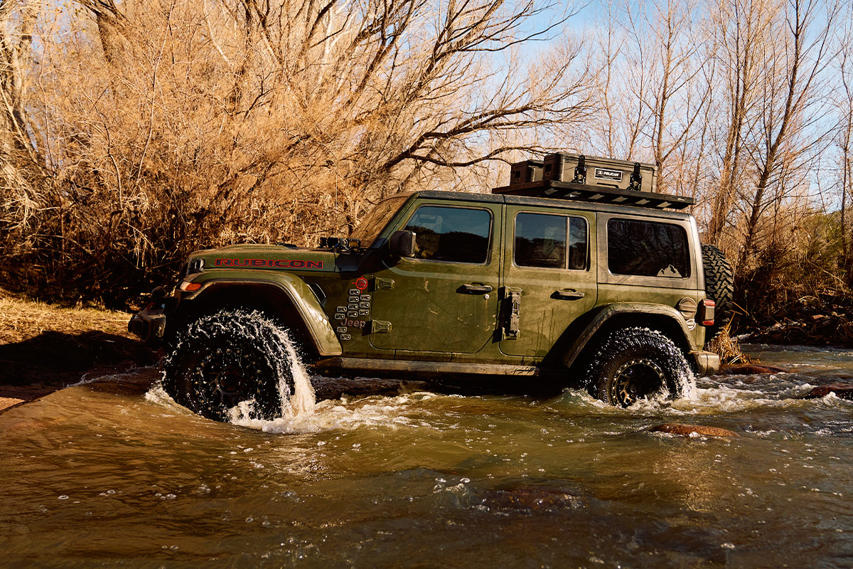 Pelican values passion expectations