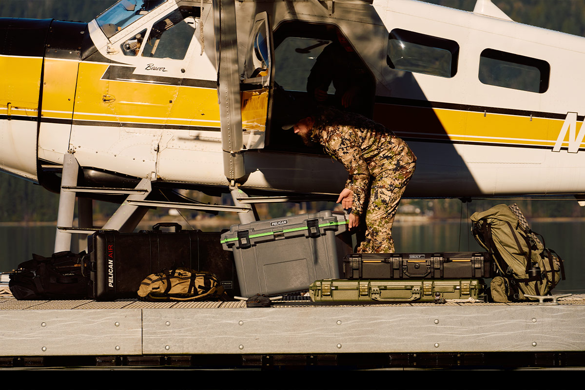 Pelican protecting all that you value